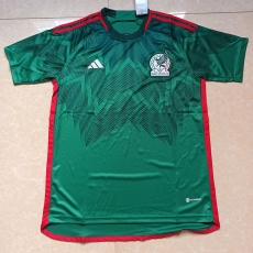 22 World Cup Mexico Home